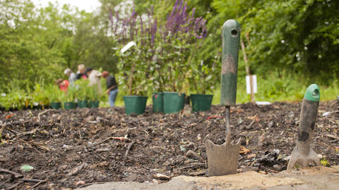 Garde with plants ready to be planted and gardeners tools in the foreground.