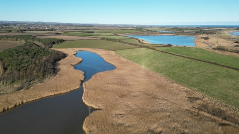 Reedbed at East Chevington. Image by Graham Holyoak.