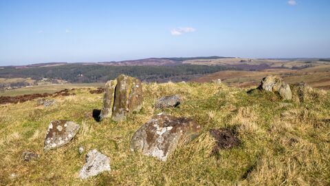 A cairn at Rothbury Estate. Cairns are often used as trail markers or memorials, and this one is set against a natural landscape