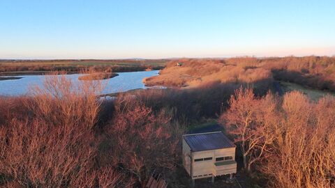The new Skua Hide at Hauxley reserve, nestled amongst the trees and overlooking the lake. Image by NWT.