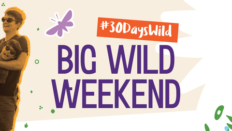 This image is an advertisement for a "Big Wild Weekend" event as part of a "#30DaysWild" campaign. The main visual is a sepia-toned photo of two adults playfully holding children aloft. The text overlay is vibrant and emphasizes the event's name. The background includes stylized floral illustrations.