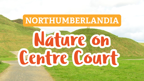 Image of Northumberlandia with the words 'Northumberlandia Nature on Centre Court' overlaid.