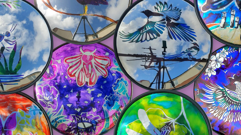 A collage of painted convex mirrors, featuring local wildlife in a variety of colours.