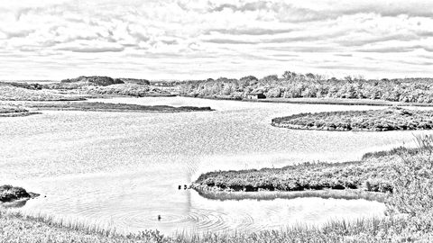 A black and white sketch of a lake surrounded by grass and trees.