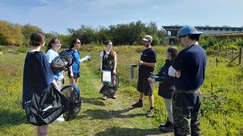 A small group of young people standing in a sunny meadow learning how to survey for butterflies.