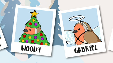Four cartoon robins in festive costumes, each in a polaroid frame with names: Wenceslas wearing a gold crown, Woody dressed as a Christmas tree with ornaments and a star, Gabriel with angel wings and halo, Sparkle with a headband featuring two gold stars.