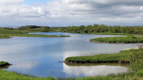 Freshwater lake with small grassy islands, surrounded by green vegetation under a cloudy sky.