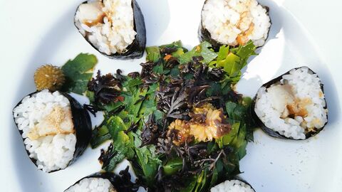 A white plate holds a circular arrangement of six sushi-style rolls made with seaweed and white rice, each filled with small pieces of vegetables or other ingredients. In the center of the plate is a mound of mixed green and dark seaweed, topped with additional finely shredded seaweed. The dish is presented simply on a light-coloured surface.
