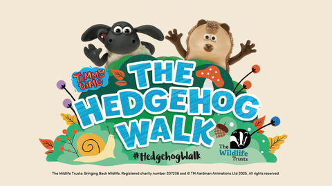 A banner featuring colourful cartoon characters from Timmy Time standing behind a bright, playful title that reads “The Hedgehog Walk.” The design includes illustrated leaves, mushrooms, and a snail, along with The Wildlife Trusts logo and the hashtag #HedgehogWalk.