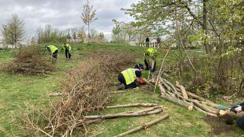 People wearing high‑visibility vests clear cut branches and logs from a grassy hillside with trees in the background.