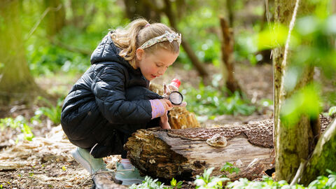 Young girl in the woods, crouching with a magnifying glass.