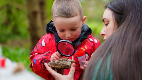 Child in a red jacket uses a magnifying glass to examine a piece of wood while an adult holds it, during an outdoor nature activity.