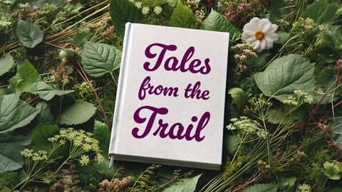 Book titled “Tales from the Trail” lying on a bed of green leaves and wild plants outdoors.