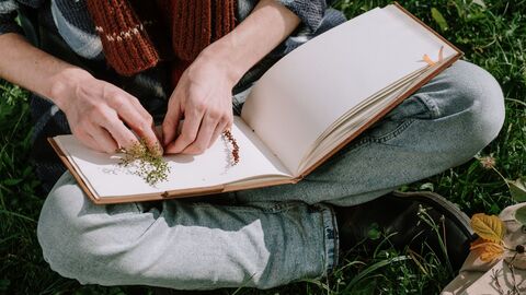 Hands placing small plants or seeds into an open blank notebook while sitting on grass outdoors, with garden items nearby.