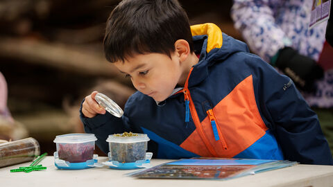 A child in a colourful outdoor jacket uses a magnifying glass to examine small containers of natural materials on a table during a nature-themed activity.