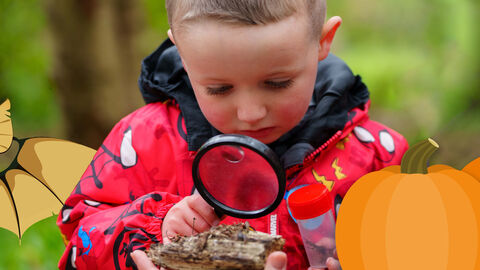 Person in a red jacket uses a magnifying glass to examine a piece of bark outdoors, surrounded by illustrated pumpkins, bats, and spiders in a Halloween-themed scavenger hunt banner.
