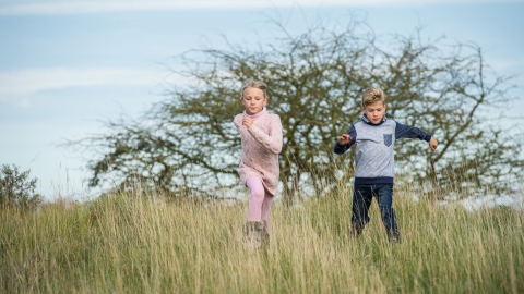 Children in field - Matthew Roberts