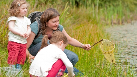 Pond dipping - Ross Hoddinott/2020VISION