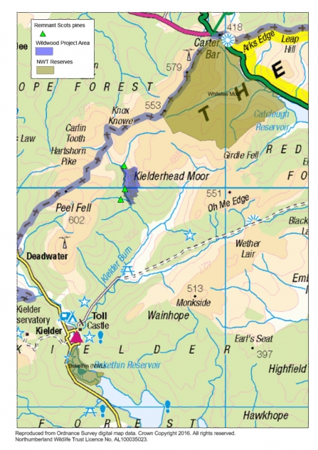 Kielder wildwood map