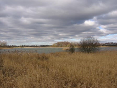 Holywell Pond - Duncan Hutt