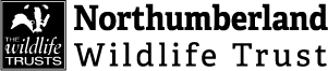 NWT logo web small