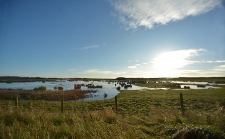 Druridge Pools - Steven Morris