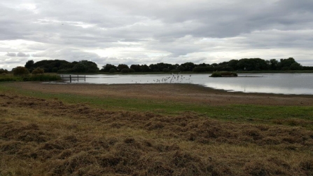 Holywell Pond - Geoff Dobbins