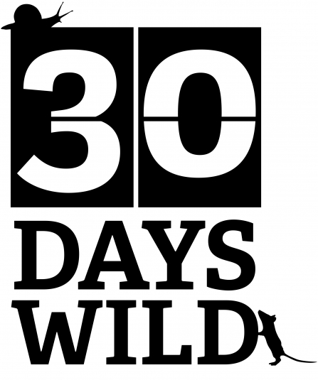 30dayswild logo