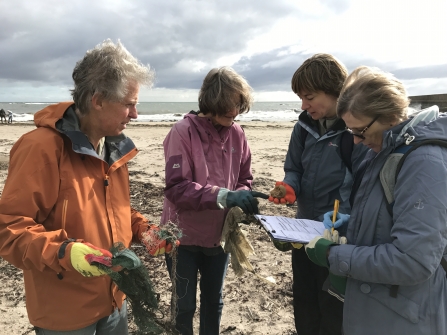 Volunteers surveying - Anna Chouler