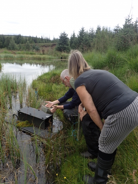 Mink raft monitoring - Joe Christie