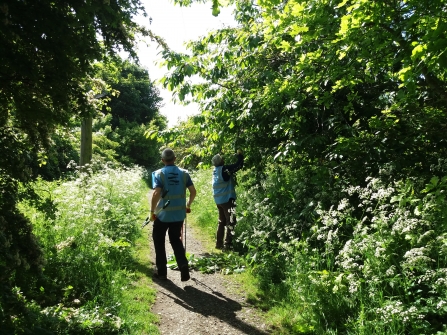 Path wardens - Laura Shearer