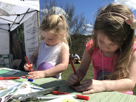 Wild at Kielder 2018 - Lynette Friend