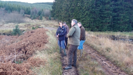 Water vole habitat search