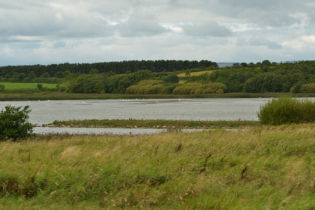 East Chevington Nature Reserve - Steven Morris