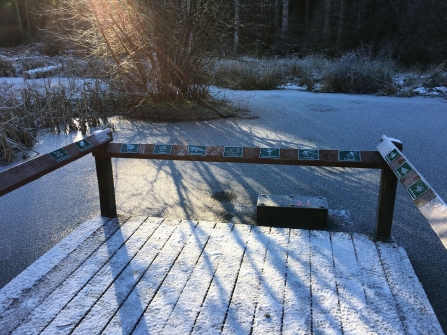 Kielder dipping platform - Joel Ireland