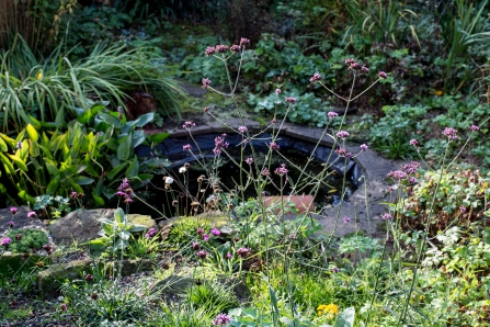 Garden pond - Paul Debois