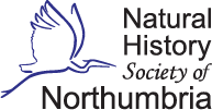 NHSN logo web small