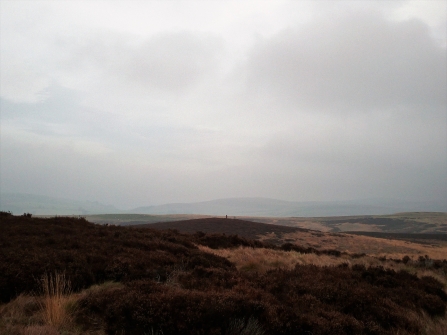 Benshaw Moor - Duncan Hutt