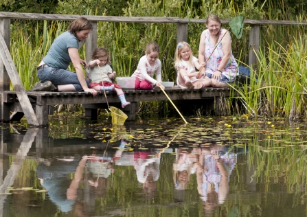 Pond dipping - Ross Hoddinott/2020VISION