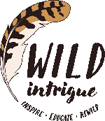 Wild Intrigue logo web small