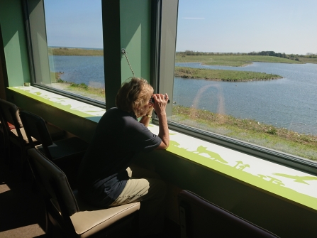 Hauxley bird spotting Mary Lee - Alex Lister