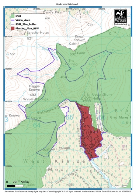 Kielderhead Wildwood map