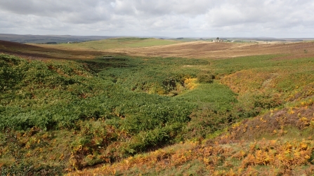 A picture of hills and fields at Benshaw Moor with a few buildings in the distance, with text reading “Help us put nature into recovery.”