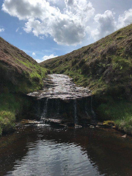 Waterfall at Benshaw Moor - Dan Venner