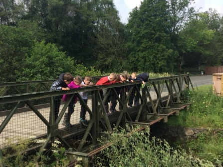 Kielder First School Ratty Trail