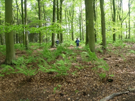 Northumberlandia wood children - Christine O'Neil