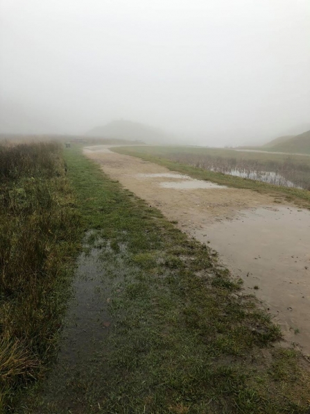 Waterlogged Northumberlandia - Events2gogo