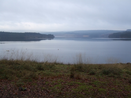 Kielder Water and Forest