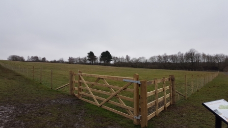 Weetslade Country Park skylark paddock - Geoff Dobbins