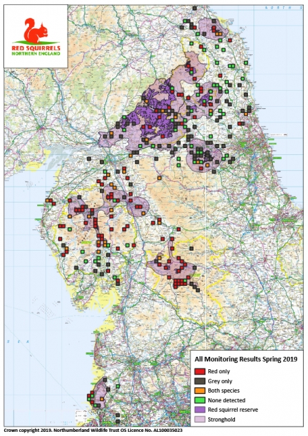 RSNE 2019 annual monitoring results